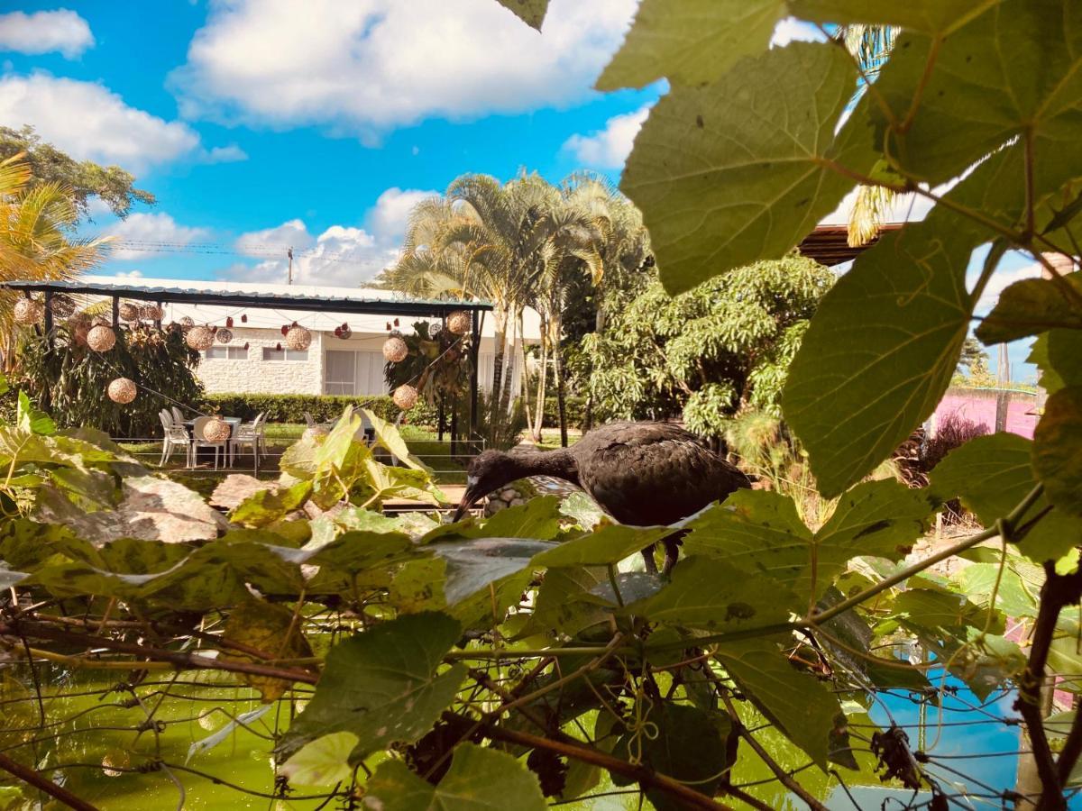 Villa Cristal Santa Elena  Eksteriør billede